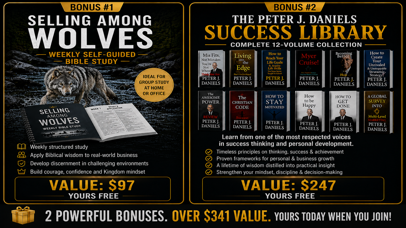 2 BONUSES
